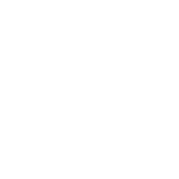San-Basilio_Logo_E3 Logo for "Parrandón Vallenato" event
